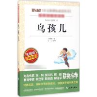 鸟孩儿 无障碍精读版