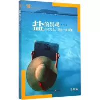 [M]盐的景观-9787503872969