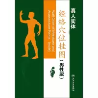 经络穴位挂图