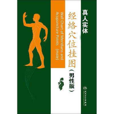 经络穴位挂图
