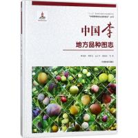 中国李地方品种图志精