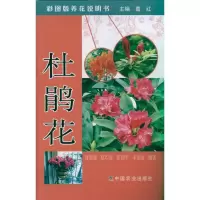 [M]杜鹃花 彩图版养花说明书-9787109154049
