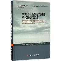 典型化工有机废气催化净化基础与应用