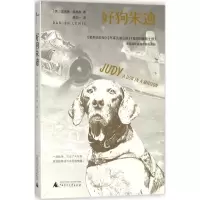 好狗朱迪