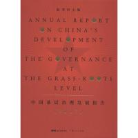 中国基层治理发展报告.2017