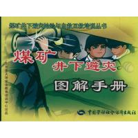 [M]煤矿井下避灾图解手册-9787504569738