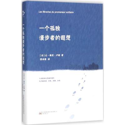 一个孤独漫步者的遐想