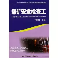 [M]煤矿安全检查工-9787504563828