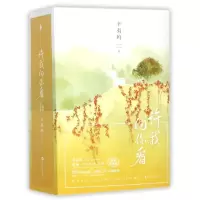 许我向你看(插图纪念版)