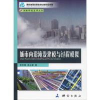 城市内涝淹没建模与过程模拟