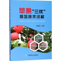 苹果