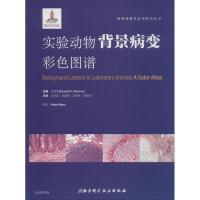 实验动物背景病变彩色图谱