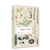 探访大灰熊