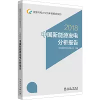 中国新能源发电分析报告 2018