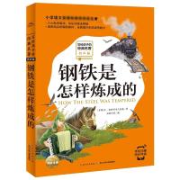 钢铁是怎样炼成的(有声版)/写给孩子的经典名著/小学语文配套阅读名著