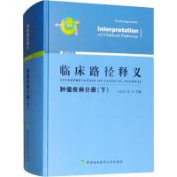 临床路径释义 肿瘤疾病分册(下) 2018年版