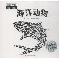 视觉逻辑启蒙·黑白 海洋动物