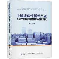 中国战略性新兴产业金融支持效率测度及影响因素研究