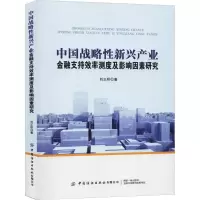 中国战略性新兴产业金融支持效率测度及影响因素研究