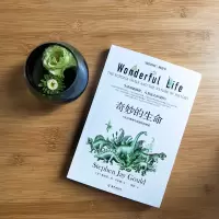 奇妙的生命
