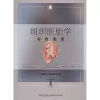 组织胚胎学彩色图谱