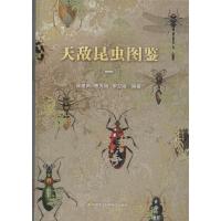 天敌昆虫图鉴(1)