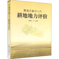 黑龙江省密山市耕地地力评价