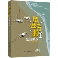 蟹之进行曲
