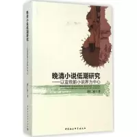 [M]晚清小说低潮研究-9787516140635