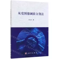 [N]灰度图像阈值分割法-9787030630391