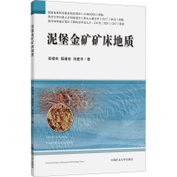 泥堡金矿矿床地质