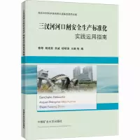 三汊河河口闸安全生产标准化实践运用指南