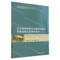 [N]沿空留巷煤帮采动破坏机理及承载结构注浆重构技术-9787564655549