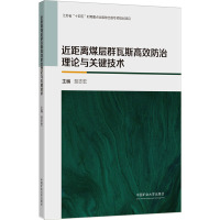 近距离煤层群瓦斯高效防治理论与关键技术