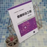 数据标注工程(第2版)
