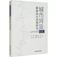 城市河流片区精准治污决策研究