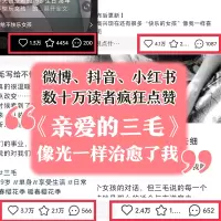 亲爱的三毛