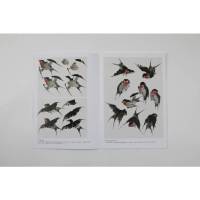 轻松学中国画技法丛书:燕雀