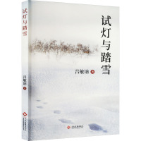 试灯与踏雪