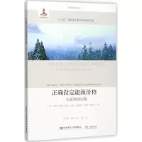 正确设定能源价格