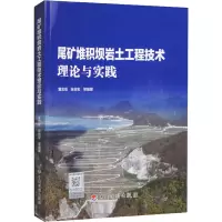 尾矿堆积坝岩土工程技术理论与实践