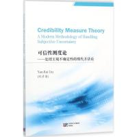 可信性测度论