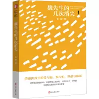 魏先生的几次消失(“锐势力”中国当代作家小说集)