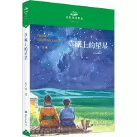 草原上的星星