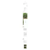 中国野生绿孔雀研究:汉、英