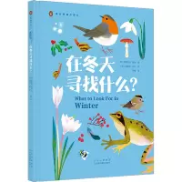 在冬天寻找什么?