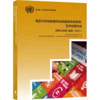 落实可持续发展目标的国家机制安排:五年回顾总结——世界公共部门报告(2021