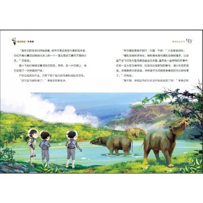 穿越前寒武纪