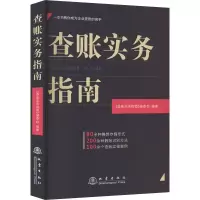 查账实务指南