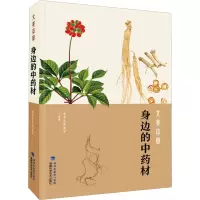 大美本草·身边的中药材